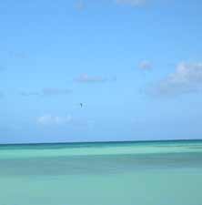 Aruba Febbraio 2004