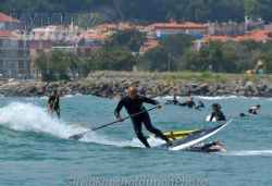 Report Jimmy Lewis demoTortuga beach Cinghiale marino