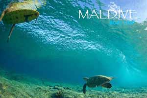 Partenza di gruppo |Boat Trip Maldive - Male Nord