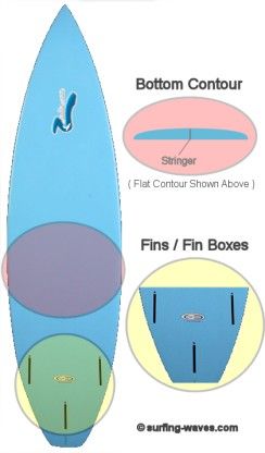 The Bottom of the Surfboard